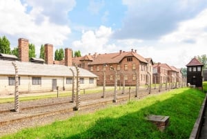 Da Cracovia: Escursione di una giornata intera ad Auschwitz e alla miniera di sale di Wieliczka