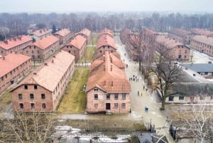 Från Krakow: Heldagsutflykt till Auschwitz och saltgruvan i Wieliczka