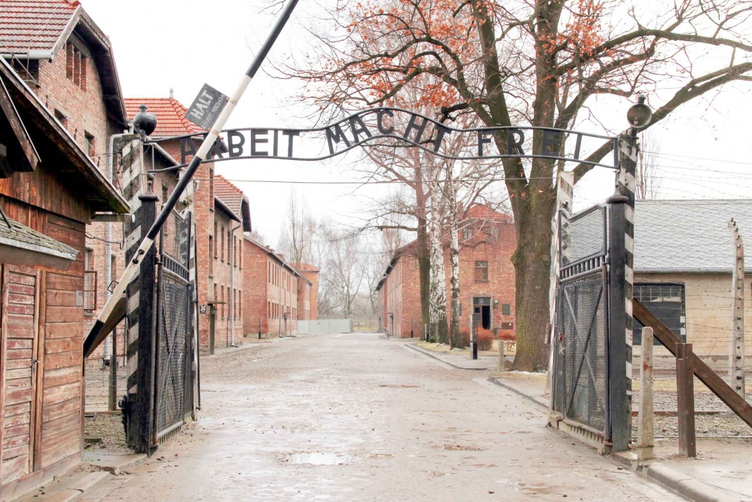 Krakow: Auschwitz-Birkenau and Salt Mine Guided Tour