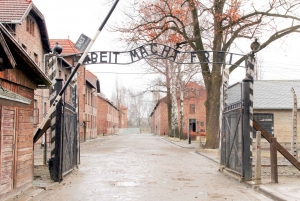 Krakow: Auschwitz-Birkenau & Salt Mine Guided Tour in 1 Day!