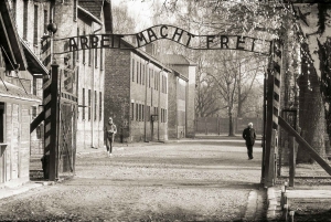 Krakow: Auschwitz-Birkenau & Salt Mine Guided Tour in 1 Day!