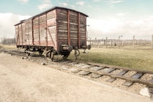Krakow: Auschwitz-Birkenau & Salt Mine Guided Tour in 1 Day!