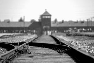 Krakow: Auschwitz-Birkenau & Salt Mine Guided Tour in 1 Day!