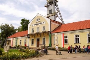 Krakow: Auschwitz & Wieliczka Salt Mine Guided Day Tour