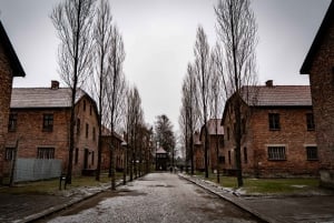 From Krakow: Auschwitz, Wieliczka Salt Mine & Pickup Options