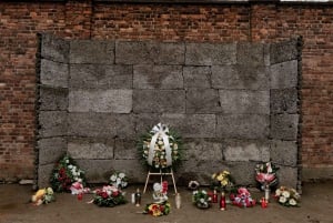 From Krakow: Auschwitz, Wieliczka Salt Mine & Pickup Options