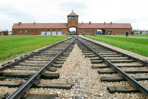 From Krakow: Auschwitz, Wieliczka Salt Mine & Pickup Options