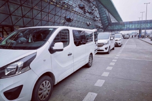 From Krakow Balice Airport: Leżajsk One-Way Private Transfer