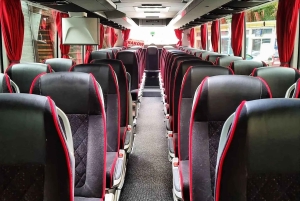 Desde Cracovia: Traslado en autobús a/desde Zakopane