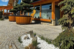 Van Krakau: Chocholow Thermale Bronnen Ticket & Transfer