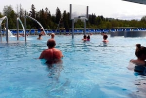 Au départ de Cracovie : Billet et transfert pour les bains thermaux de Chochołowskie