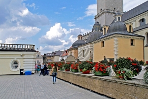 Fra Krakow: Częstochowa, Sorte Madonna og Lagiewniki Tour