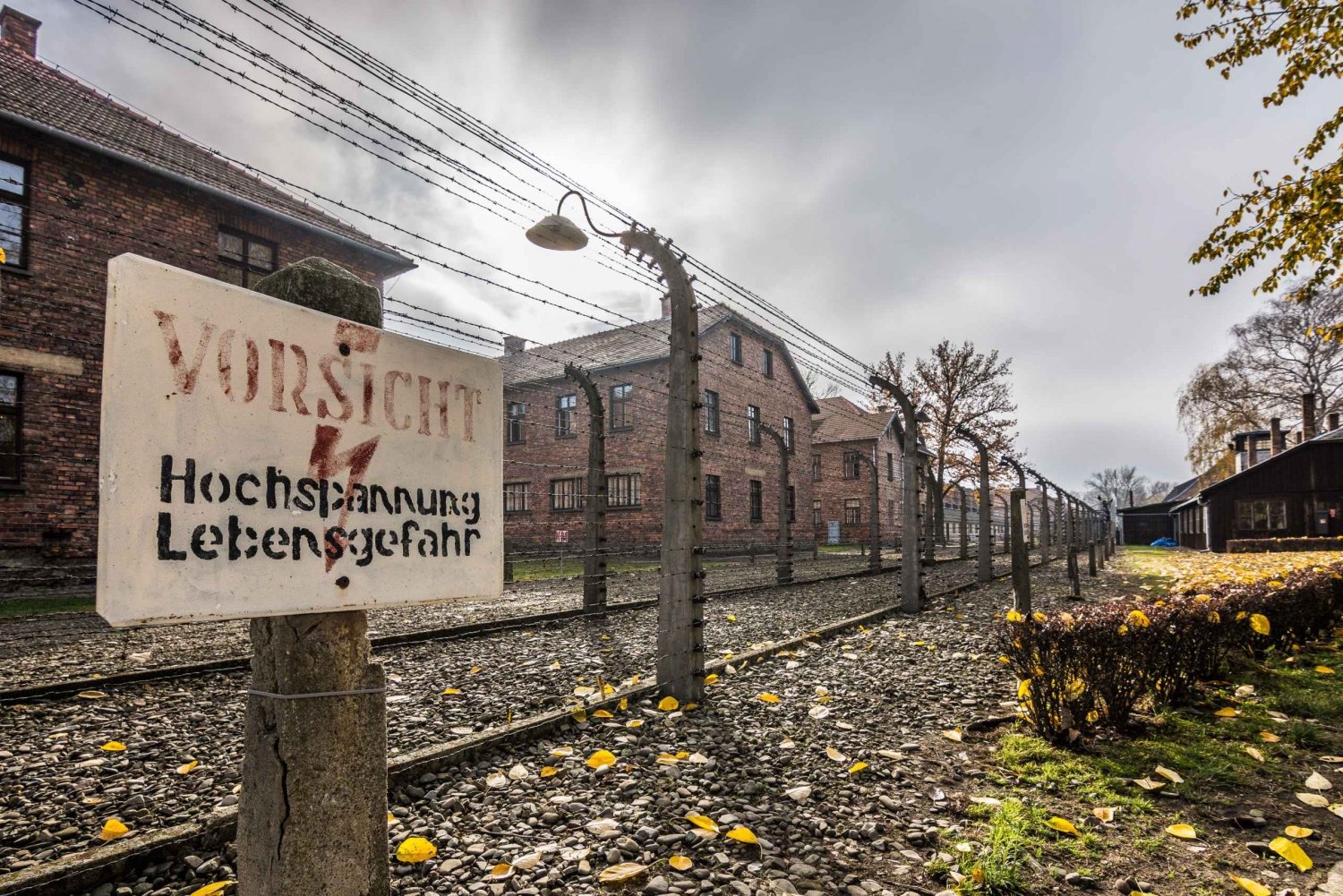 Auschwitz-Birkenau: Skip-the-Line Entry Ticket & Guided Tour