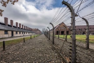 Auschwitz-Birkenau: Skip-the-Line inträdesbiljett & guidad tur
