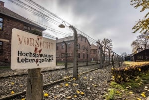 Auschwitz-Birkenau: Fast Track Entry Ticket & Guided Tour