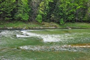 From Krakow: Dunajec Full-Day River Rafting