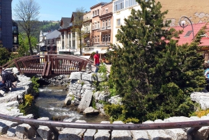 Depuis Cracovie : Rafting sur la rivière Dunajec et visite de la ville de Zakopane