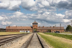 Krakow: Auschwitz-Birkenau Guided Tour with Transport