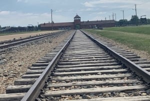 Desde Cracovia: Visita guiada en grupo a Auschwitz-Birkenau en monovolumen
