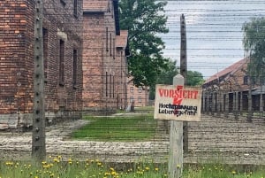 Z Krakowa: Wycieczka z przewodnikiem po Auschwitz-Birkenau minivanem