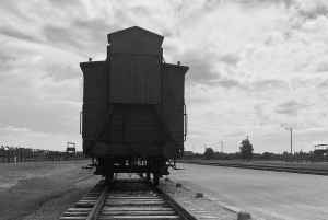 Z Krakowa: Wycieczka z przewodnikiem po Auschwitz-Birkenau minivanem