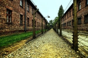 De Cracóvia: Tour guiado em grupo por Auschwitz-Birkenau em uma minivan