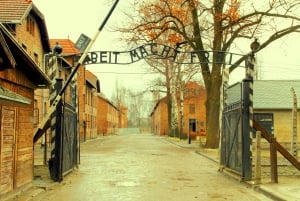 Från Krakow: Guidad gruppresa med minibuss till Auschwitz-Birkenau