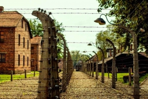 Desde Cracovia: Visita guiada en grupo a Auschwitz-Birkenau en monovolumen