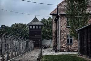 Krakow: Auschwitz-Birkenau Tour with Lunch & Private Options