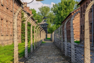 From Krakow: Guided Auschwitz-Birkenau Tour