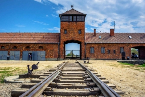 Krakow: Auschwitz Guided Tour with Optional Lunch and Pickup