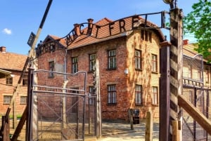 From Krakow: Guided Tour Auschwitz-Birkenau with Pickup