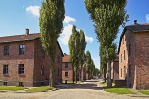 Krakow: Auschwitz Guided Tour with Optional Lunch and Pickup