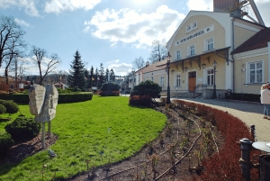 Vanuit Krakau: Rondleiding in de zoutmijn van Wieliczka