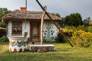 Au départ de Cracovie : Visite guidée de Zalipie