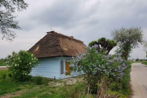 Au départ de Cracovie : Visite guidée de Zalipie