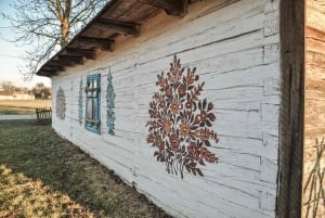 Au départ de Cracovie : Visite guidée de Zalipie