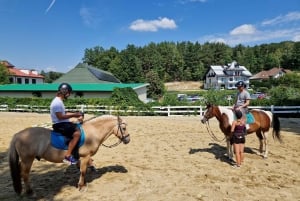 De Cracóvia: Meio dia de passeio a cavalo pelo lago
