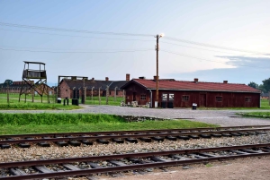 Från Kraków: Sista minuten-guidad tur i Auschwitz-Birkenau