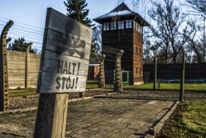 Från Kraków: Sista minuten-guidad tur i Auschwitz-Birkenau