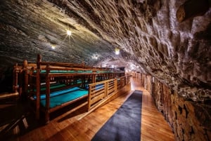 Fra Krakow: Malopolska, Bochnia, Zalipie og Tarnow Tour