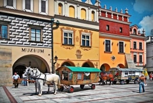 Fra Krakow: Malopolska, Bochnia, Zalipie og Tarnow Tour