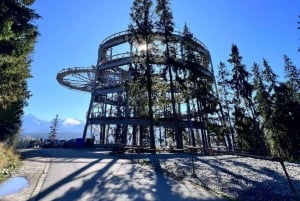 From Kraków: Mountain Treetop Walk & Zakopane Day Trip