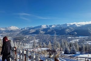 From Kraków: Mountain Treetop Walk & Zakopane Day Trip