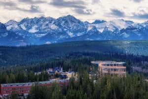 From Kraków: Mountain Treetop Walk & Zakopane Day Trip