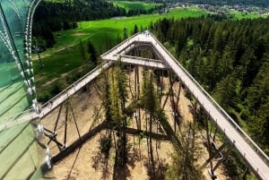 From Kraków: Mountain Treetop Walk & Zakopane Day Trip