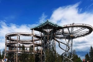 From Kraków: Mountain Treetop Walk & Zakopane Day Trip