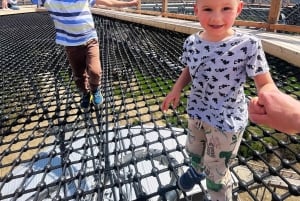 From Kraków: Mountain Treetop Walk & Zakopane Day Trip