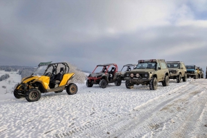 Desde Cracovia: Aventura todoterreno y relax en los baños termales