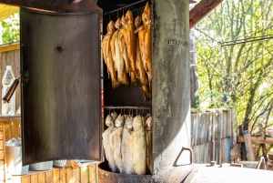 De Cracóvia: Parque Nacional Ojców e Castelo Ogrodzieniec
